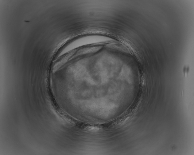 X0000090910352200708271009