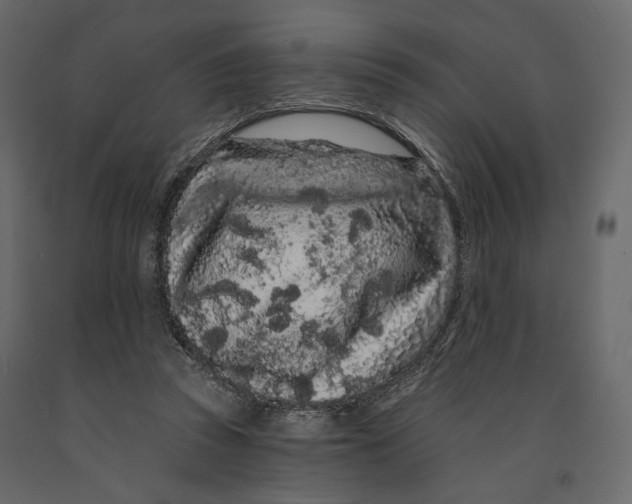 X0000090910353200708271009