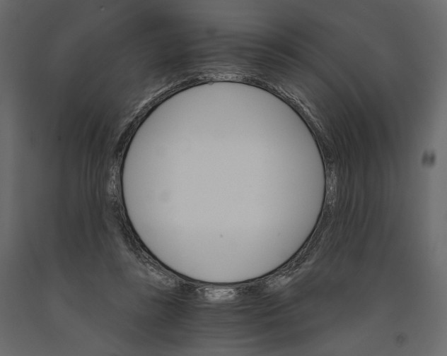 X0000090910355200708271009