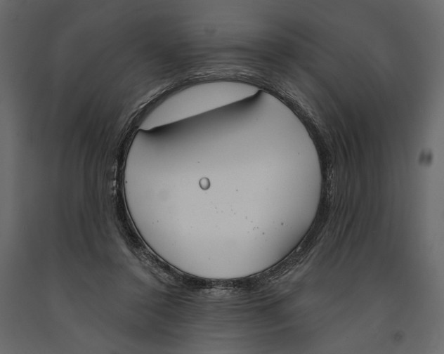 X0000090910356200708271009