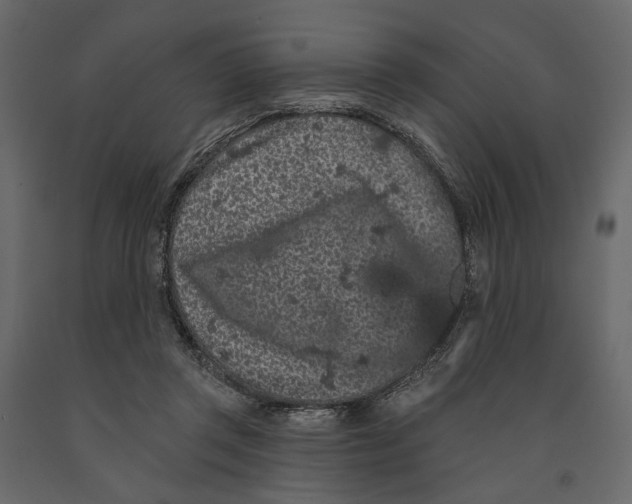 X0000090910357200708271009