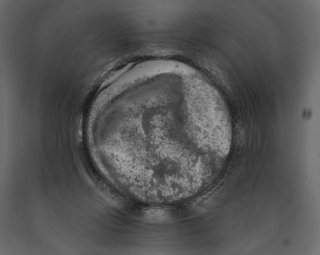 X0000090910358200708271009