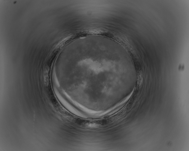 X0000090910360200708271009