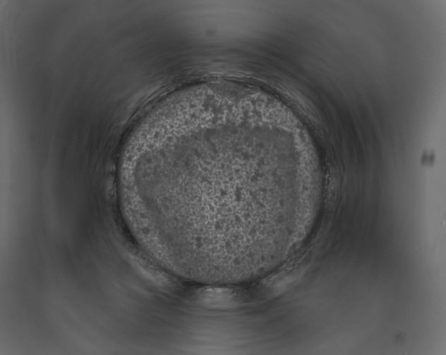 X0000090910361200708271009