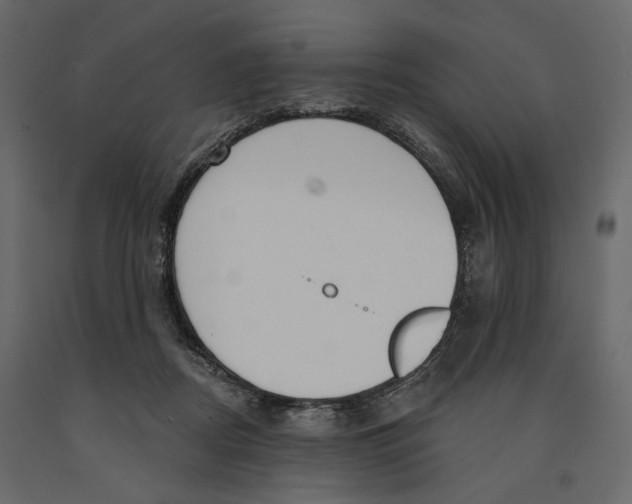 X0000090910362200708271009