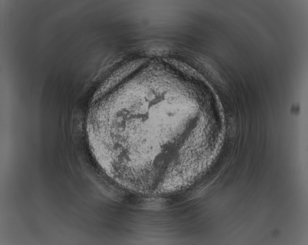 X0000090910363200708271009