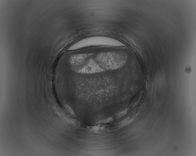 X0000090910366200708271009