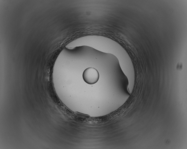 X0000090910368200708271009