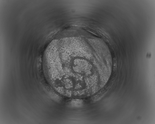 X0000090910369200708271009