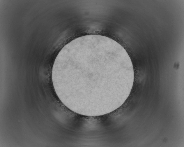 X0000090910370200708271009