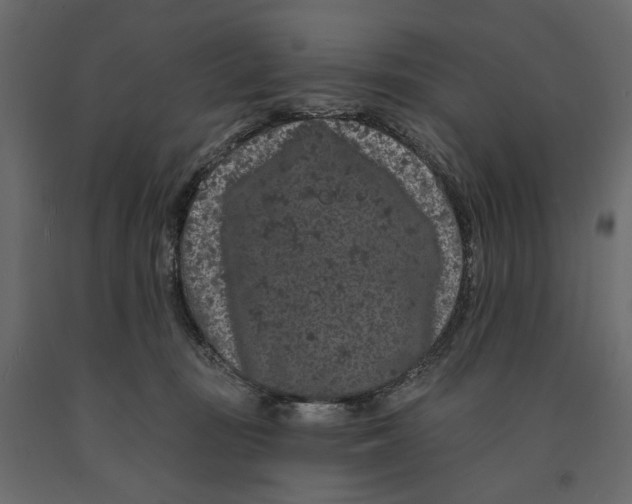 X0000090910371200708271009