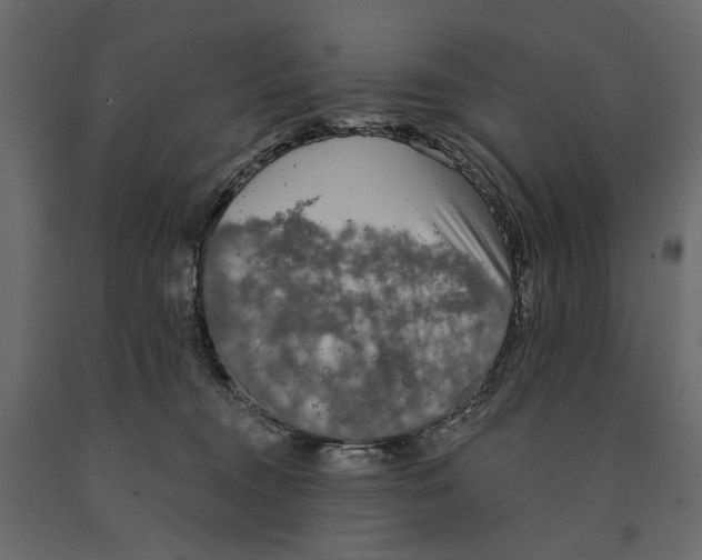 X0000090910372200708271009