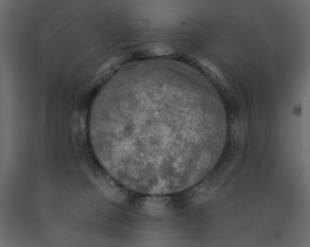 X0000090910373200708271009