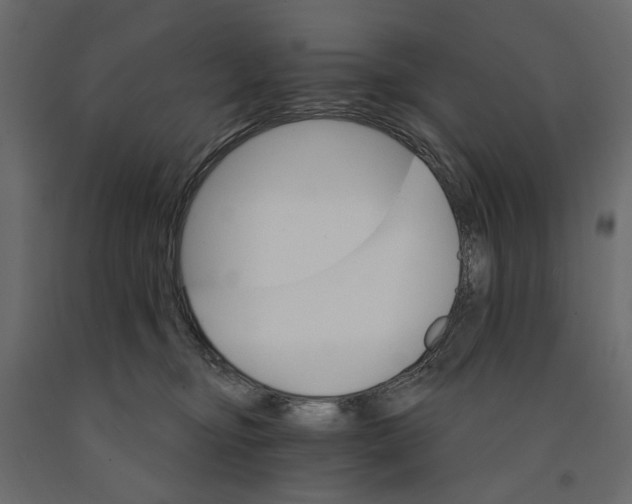 X0000090910374200708271009