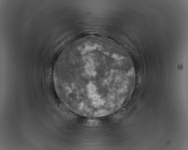 X0000090910376200708271009