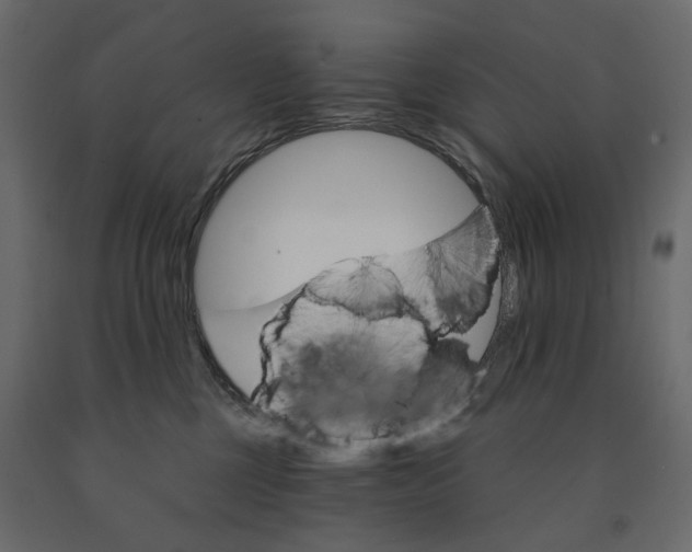 X0000090910377200708271009