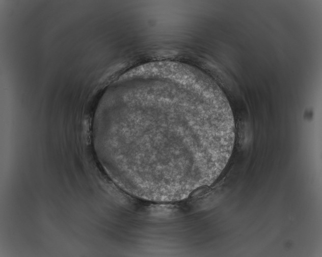 X0000090910378200708271009