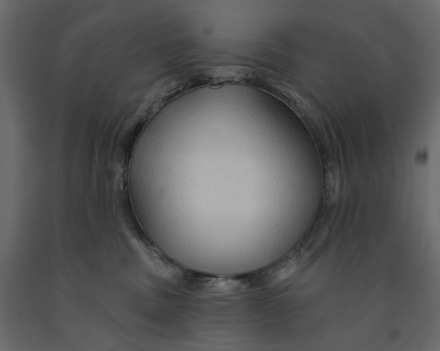 X0000090910379200708271009