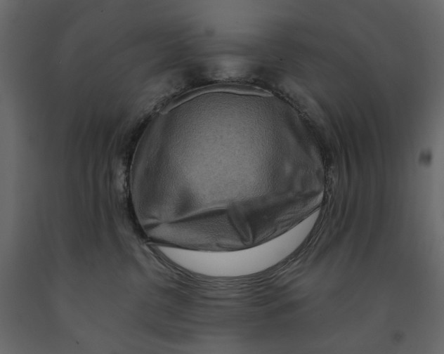 X0000090910380200708271009