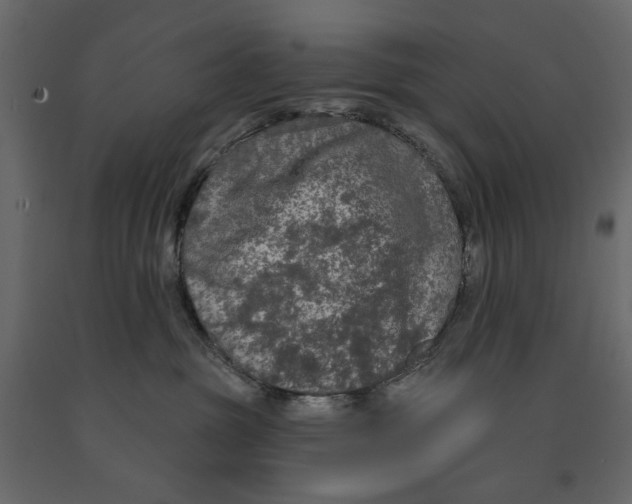 X0000090910381200708271009