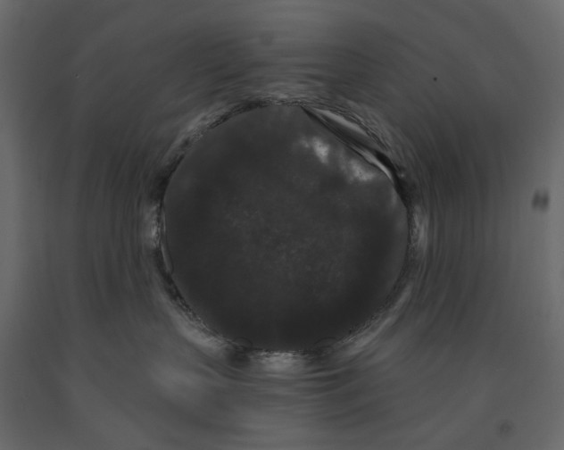 X0000090910383200708271009