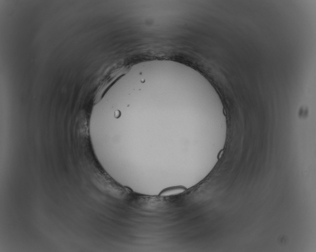 X0000090910384200708271009