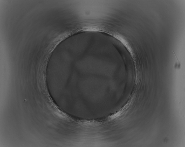 X0000090910385200708271009