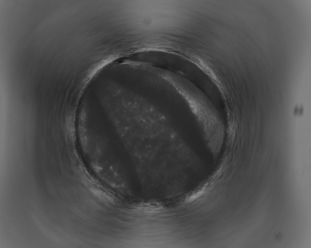 X0000090910386200708271009