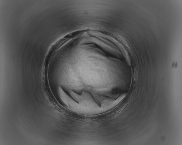 X0000090910388200708271009