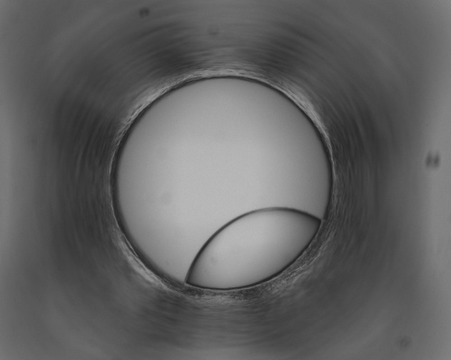 X0000090910389200708271009