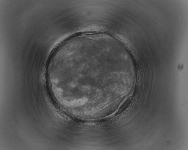 X0000090910392200708271008