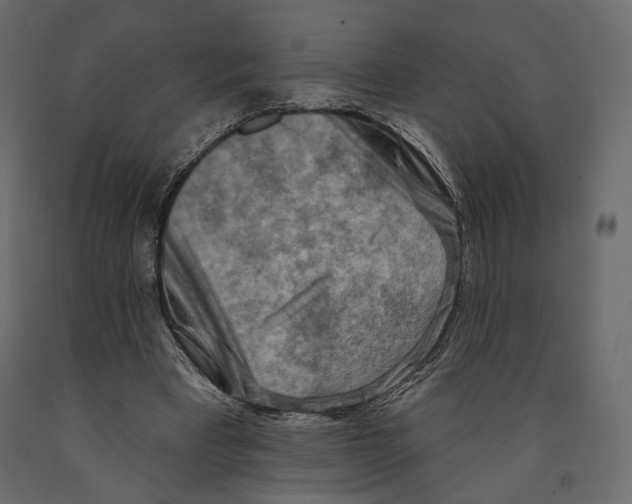 X0000090910393200708271008