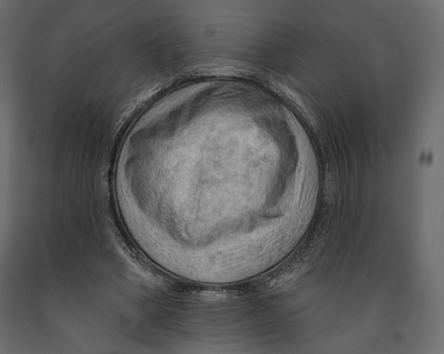 X0000090910394200708271008