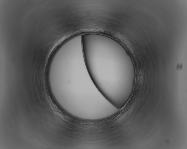 X0000090910395200708271008