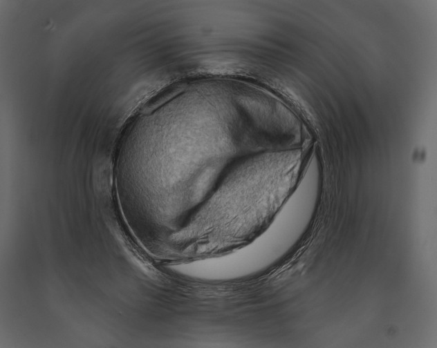 X0000090910397200708271008