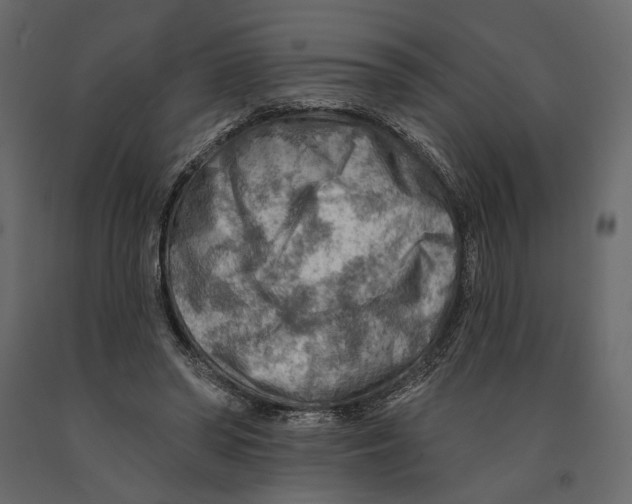 X0000090910398200708271008