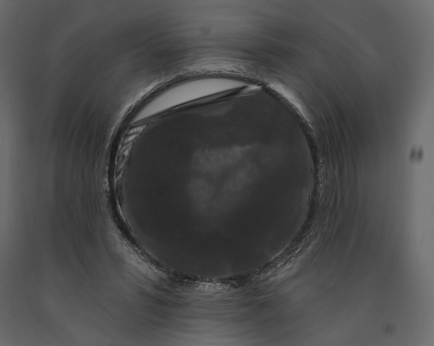 X0000090910399200708271008