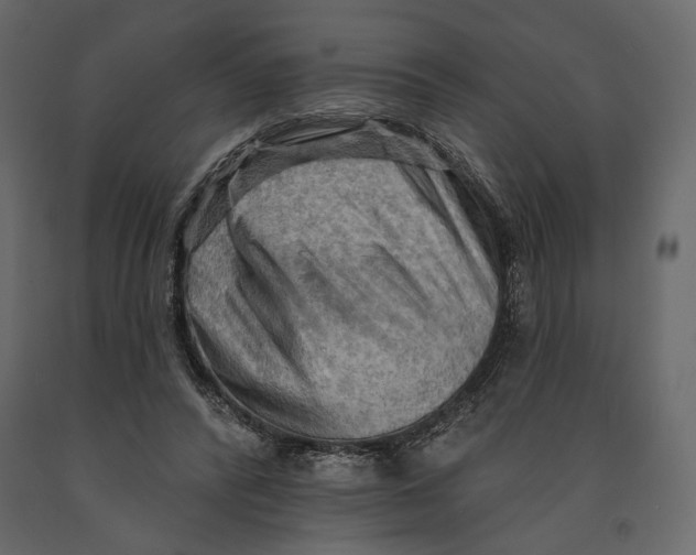 X0000090910400200708271008