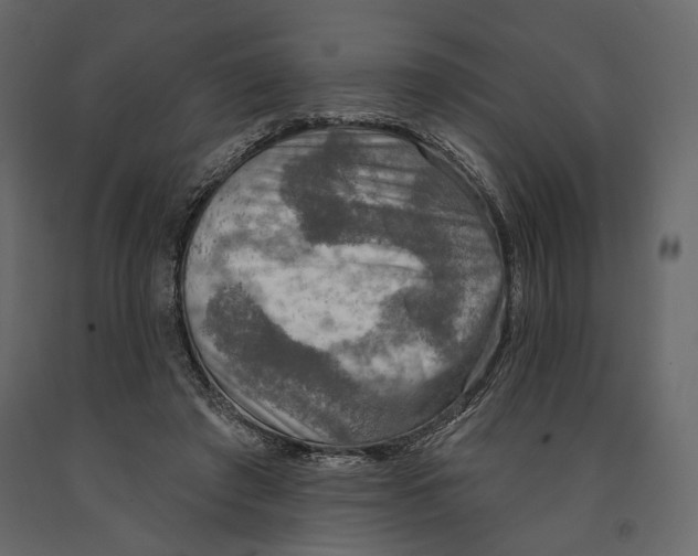 X0000090910401200708271008