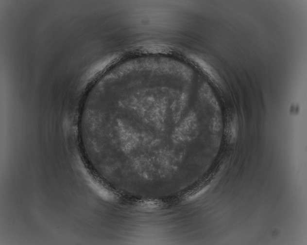 X0000090910402200708271008