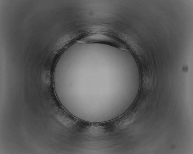 X0000090910403200708271008