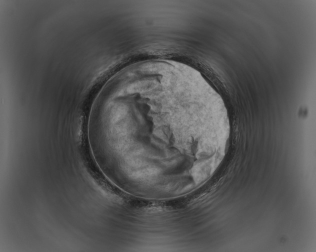 X0000090910404200708271008