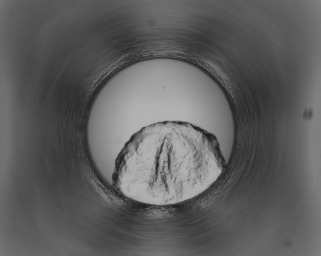 X0000090910405200708271008