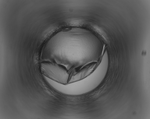 X0000090910407200708271008