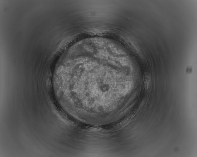 X0000090910408200708271008