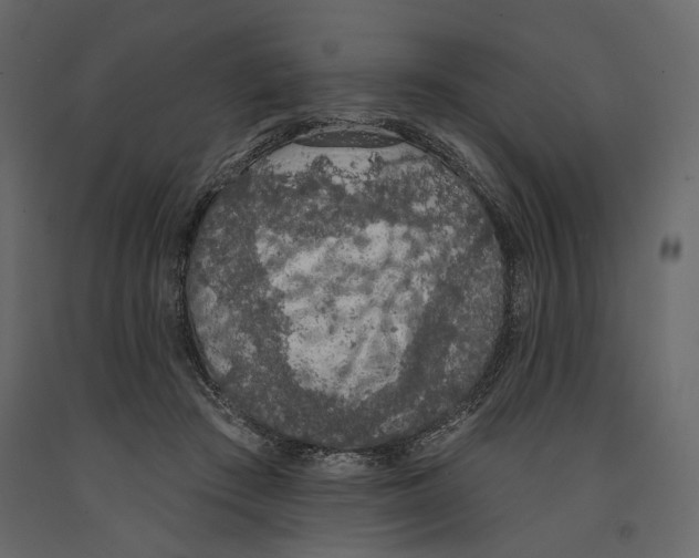 X0000090910409200708271008