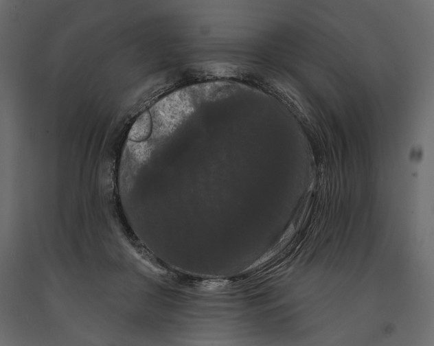 X0000090910410200708271008