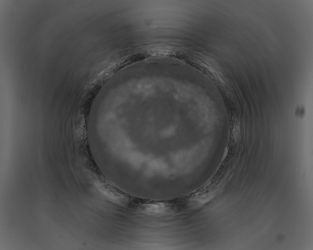 X0000090910411200708271008