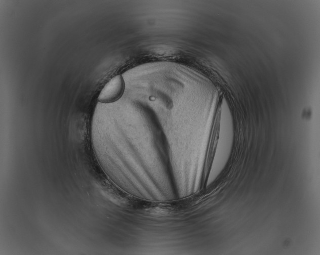 X0000090910412200708271008