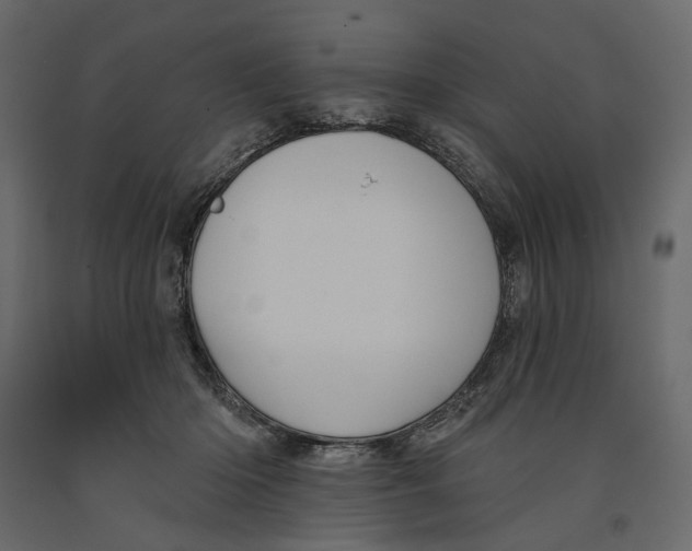 X0000090910414200708271008